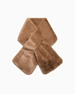 Bambi Camel