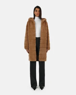 Celina Camel