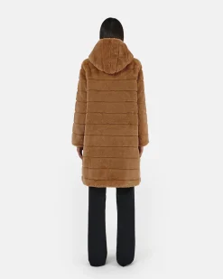 Celina Camel