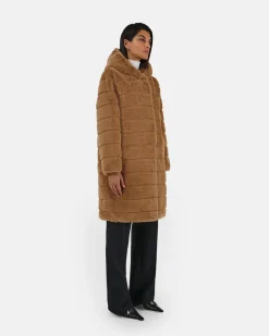 Celina Camel