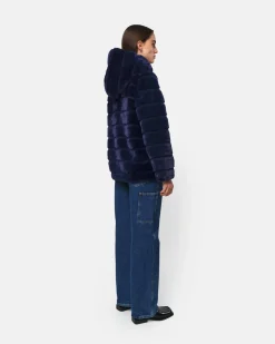 Goldy Ink Coat