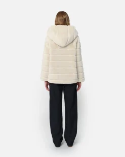 Goldy Latte Coat
