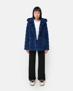 Goldy Sapphire Coat