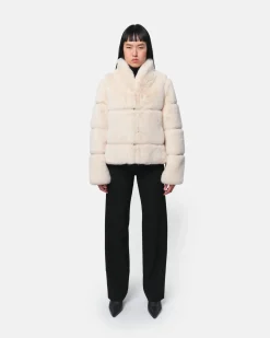 Sai Coat Cream